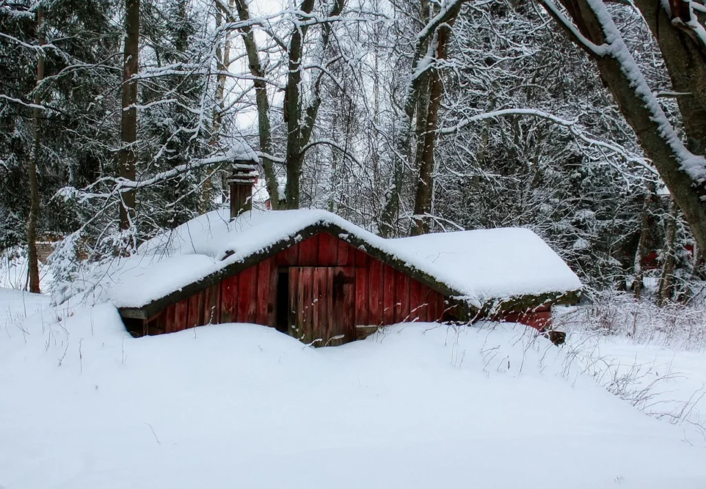 snow vacations for families