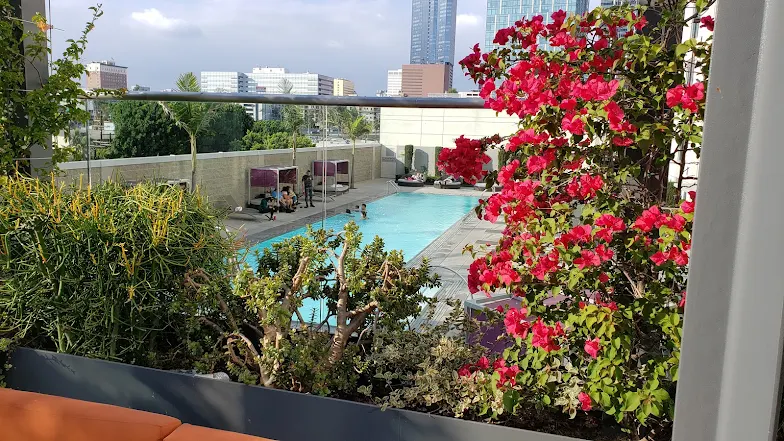 Family Resorts in California 