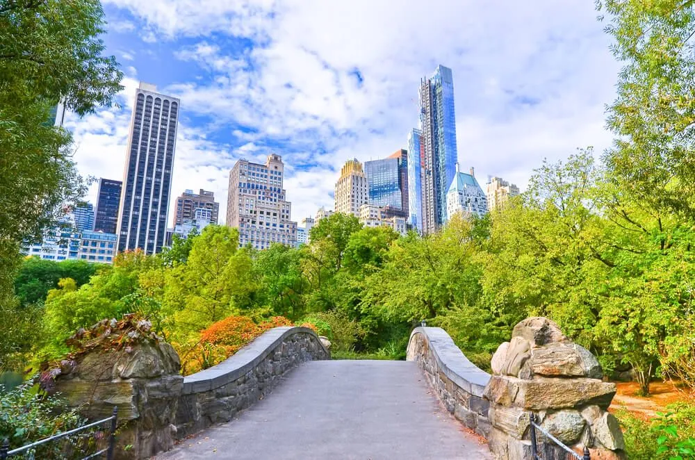 things to do in NYC in December