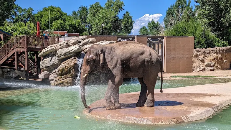 Colorado family vacations