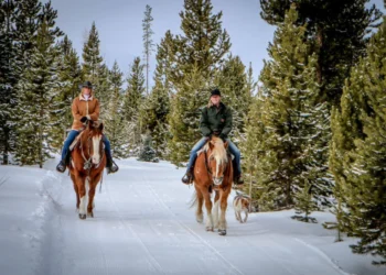 Colorado in Winter