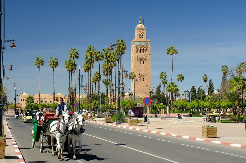 Places To Visit In Novembre
