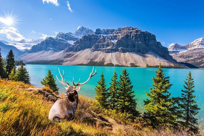 Colorado family vacations