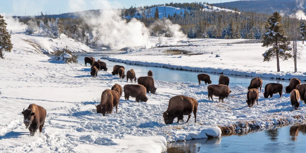 winter vacations in  US