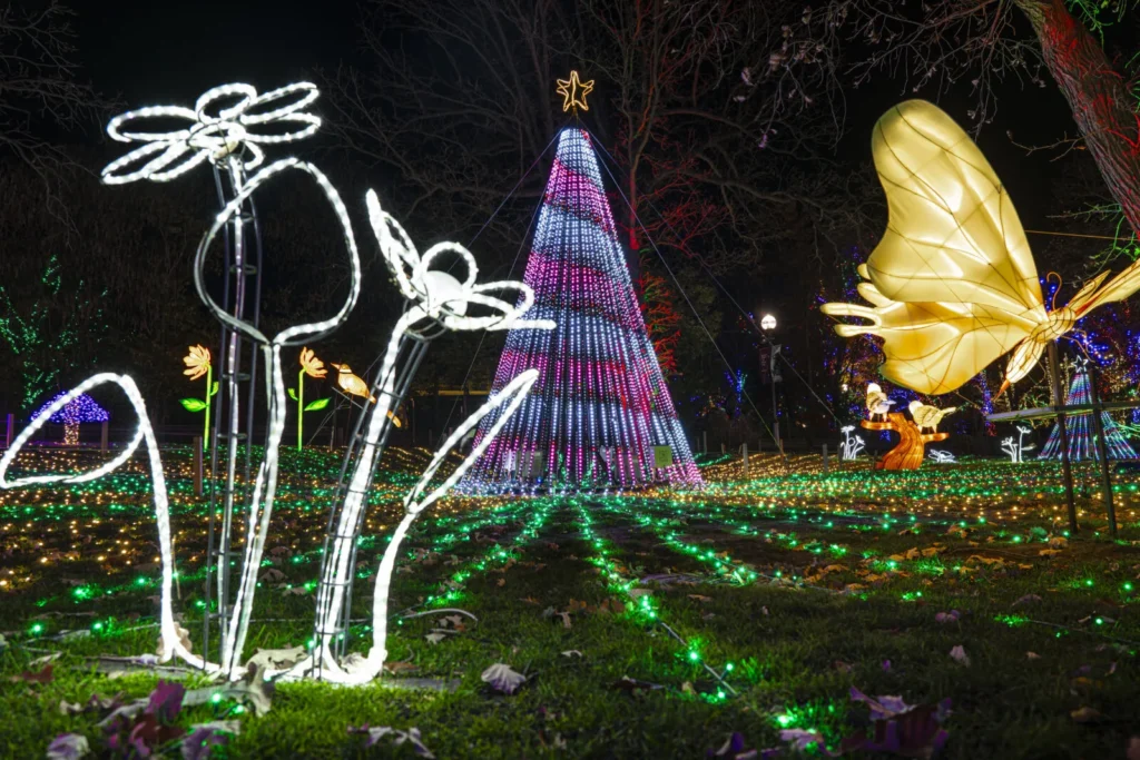 Things To Do In Chicago In December