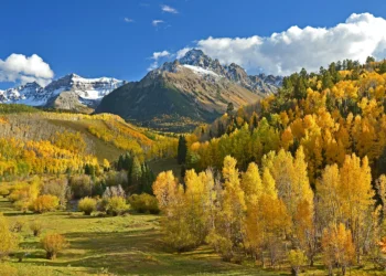 Colorado in December