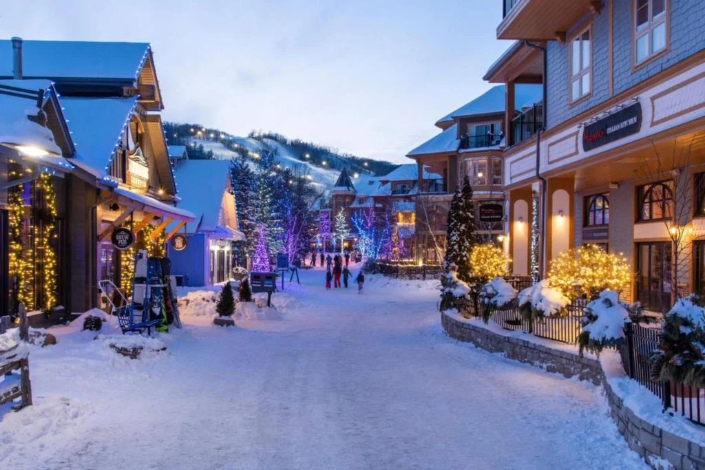 Winter Vacation Ideas
