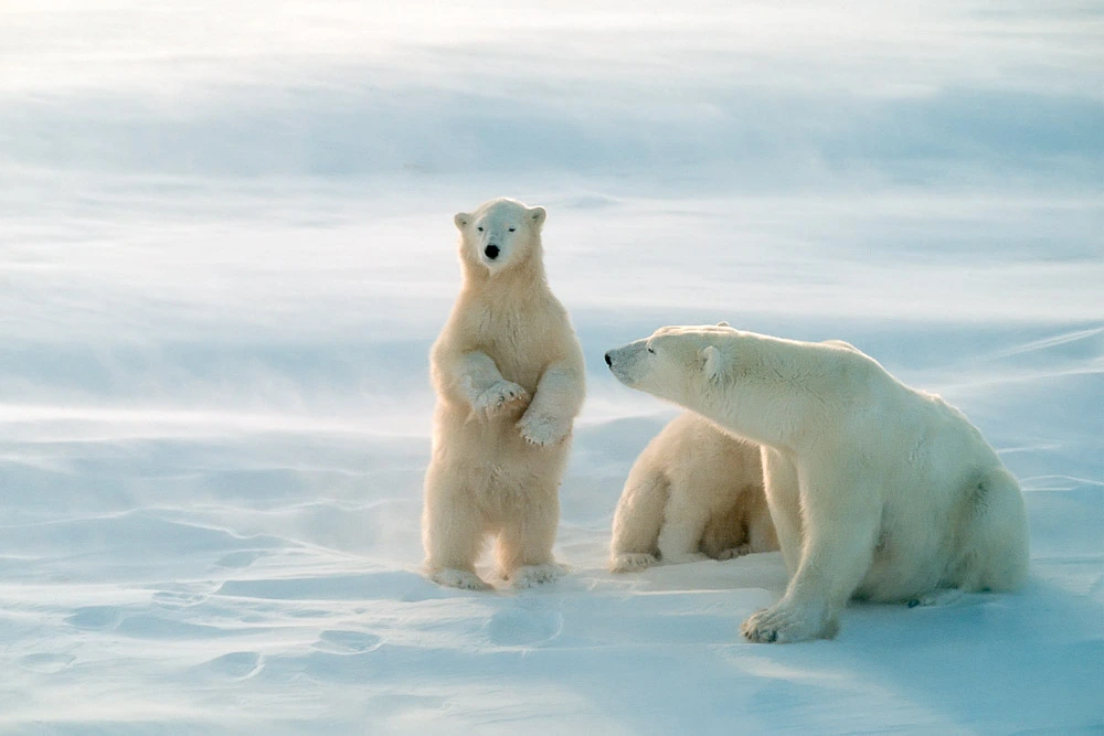 Winter Vacation Ideas