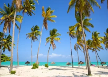 where is warm in December