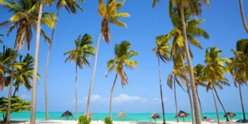 where is warm in December